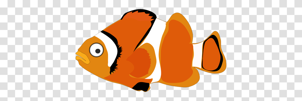 Colorful Goldfish, Animal, Food, Plant Transparent Png