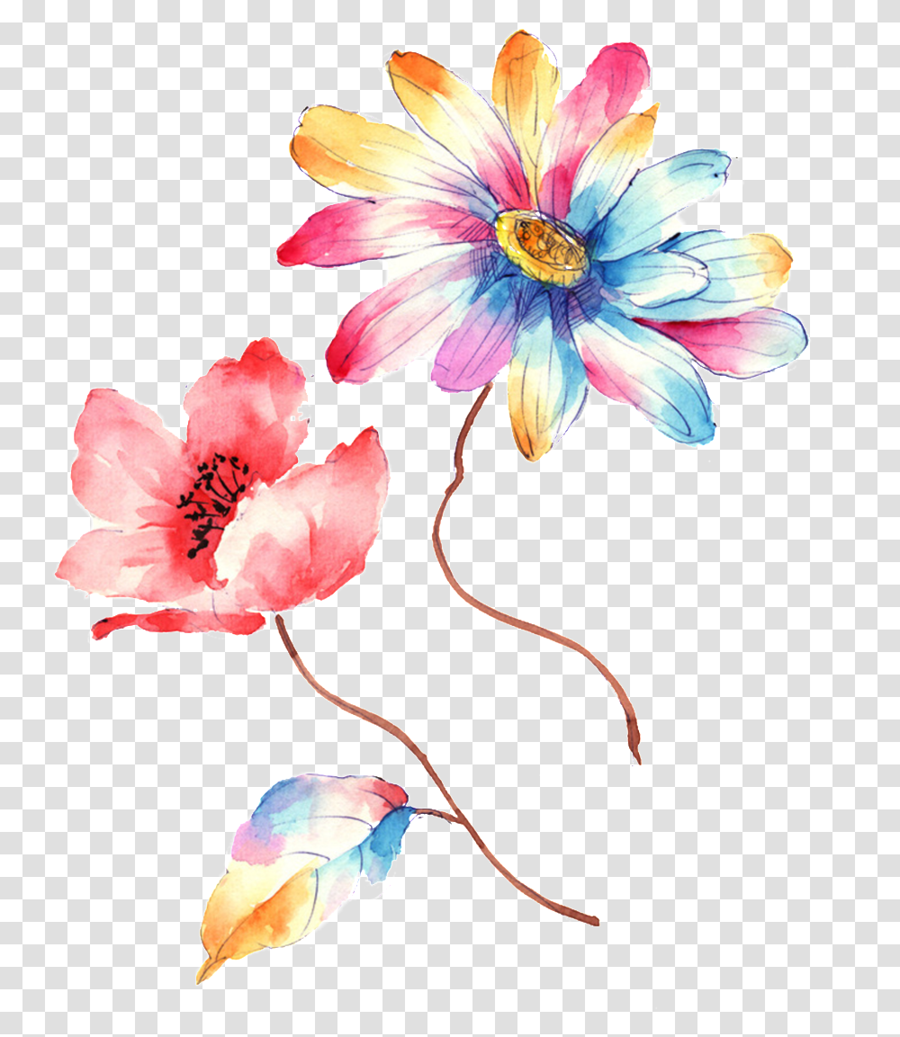 Colorful Gradient Hand Drawn Chrysanthemum Decorative Illustration, Plant, Flower, Anther Transparent Png