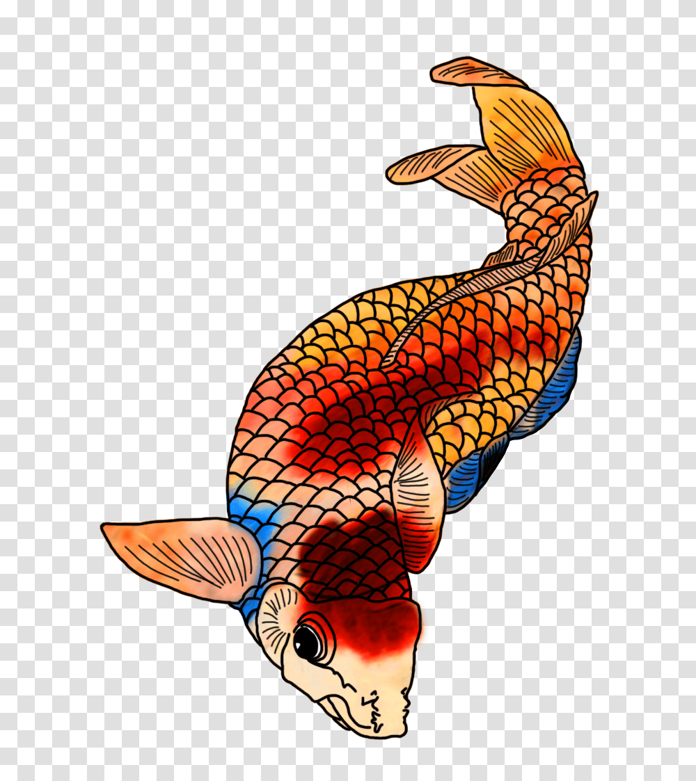 Colorful Koi Fish Drawings, Animal, Bird, Outdoors, Aquatic Transparent Png