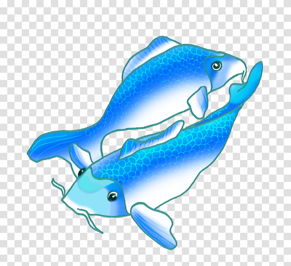 Colorful Koi Fish Drawings, Animal, Sea Life, Mammal, Dolphin Transparent Png