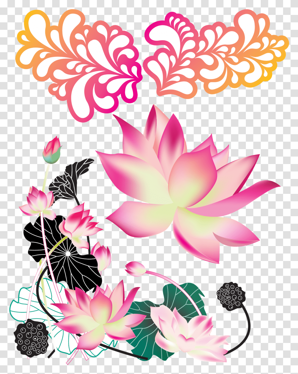 Colorful Lotus Vector, Graphics, Art, Floral Design, Pattern Transparent Png