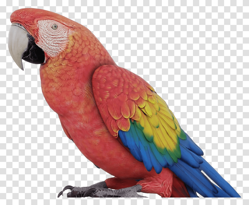 Colorful Parrot Photo Background Parrot 3d, Bird, Animal, Macaw Transparent Png