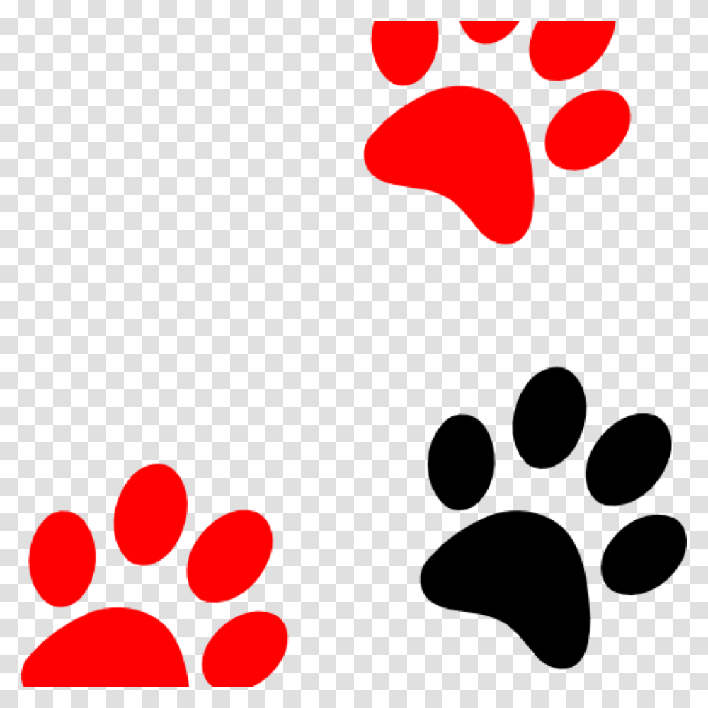 Colorful Paw Print, Footprint, Silhouette, Logo Transparent Png