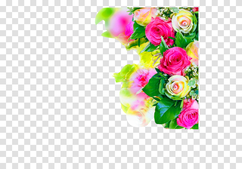 Colorful Rose Wedding Flowerflower Watercolor Watercolor, Plant, Floral Design Transparent Png