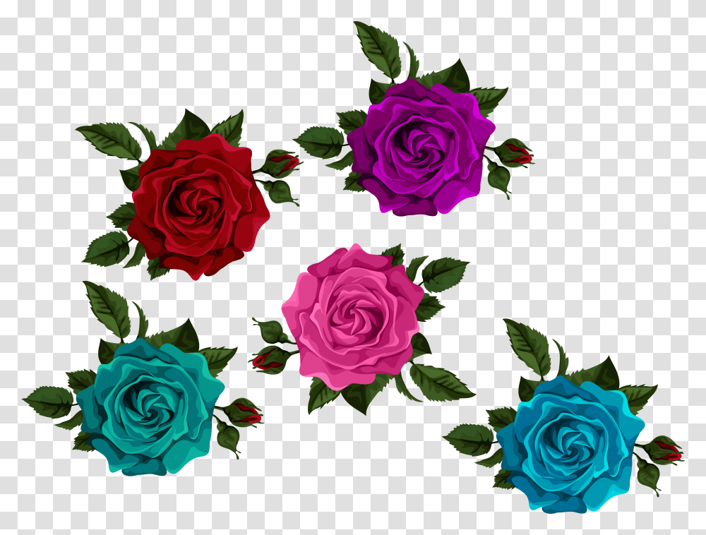 Colorful Roses With Background Colorful Roses, Flower, Plant, Blossom, Petal Transparent Png