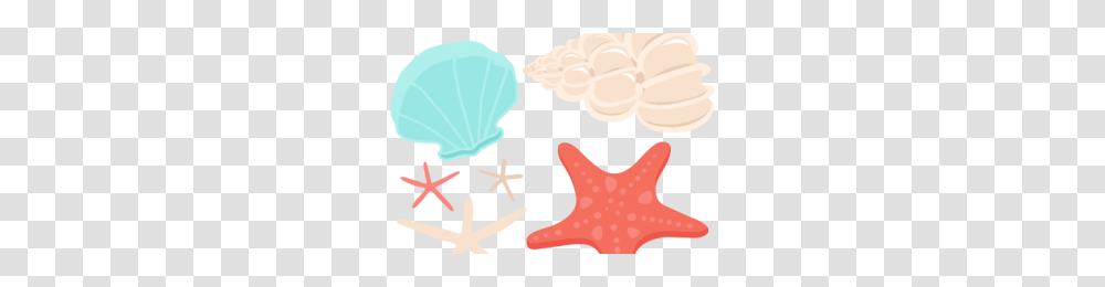 Colorful Seashell Clipart Clipart Station, Starfish, Invertebrate, Sea Life, Animal Transparent Png