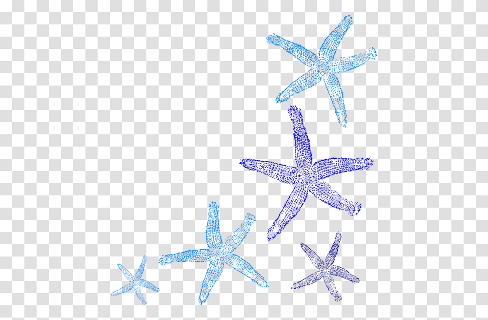 Colorful Seashell Clipart Starfish Border Clipart, Invertebrate, Sea Life, Animal, Star Symbol Transparent Png