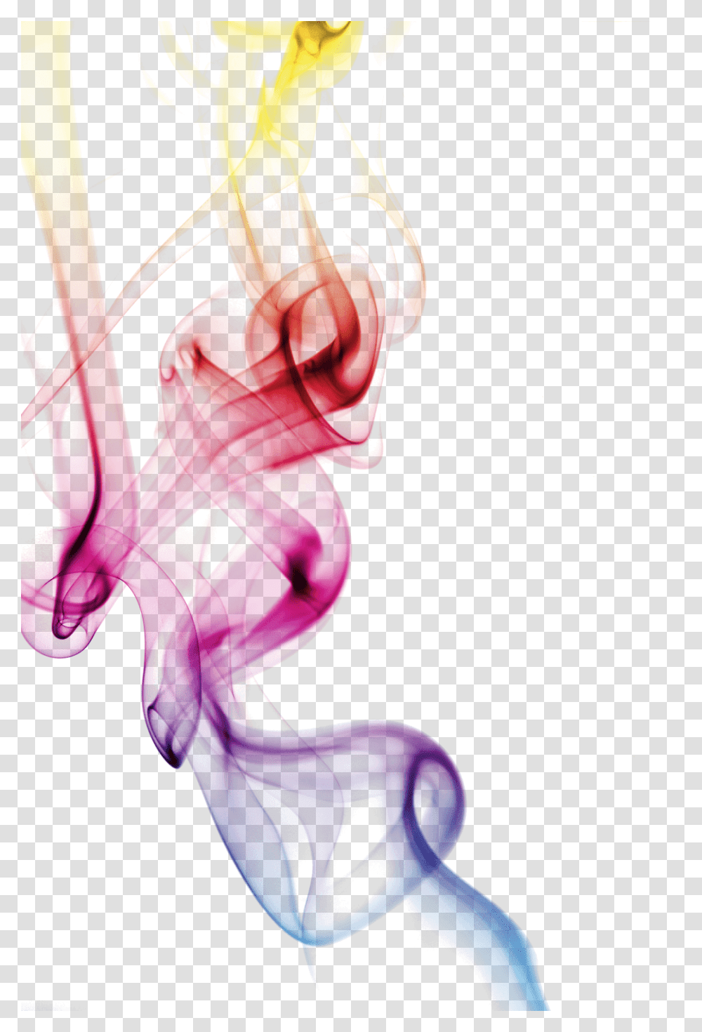 Colorful Smoke Clipart Color, Sea Life, Animal, Invertebrate, Jellyfish Transparent Png