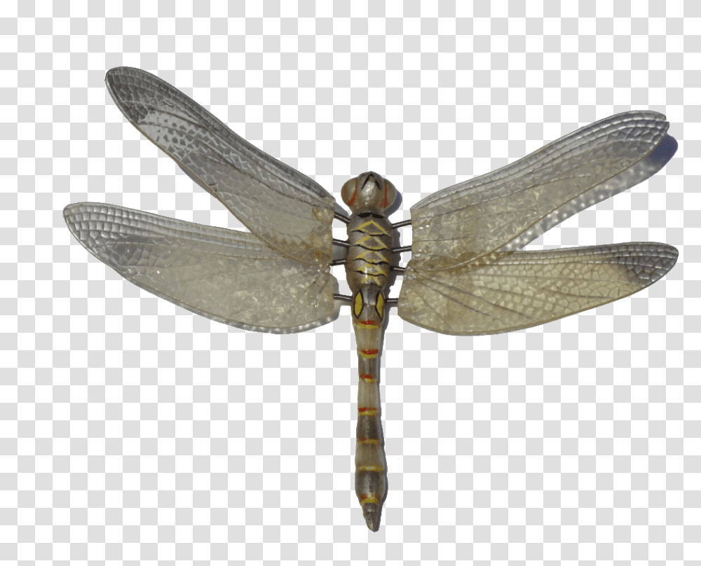 Colorful Vector Dragonfly Dragonfly Hd, Insect, Invertebrate, Animal, Anisoptera Transparent Png