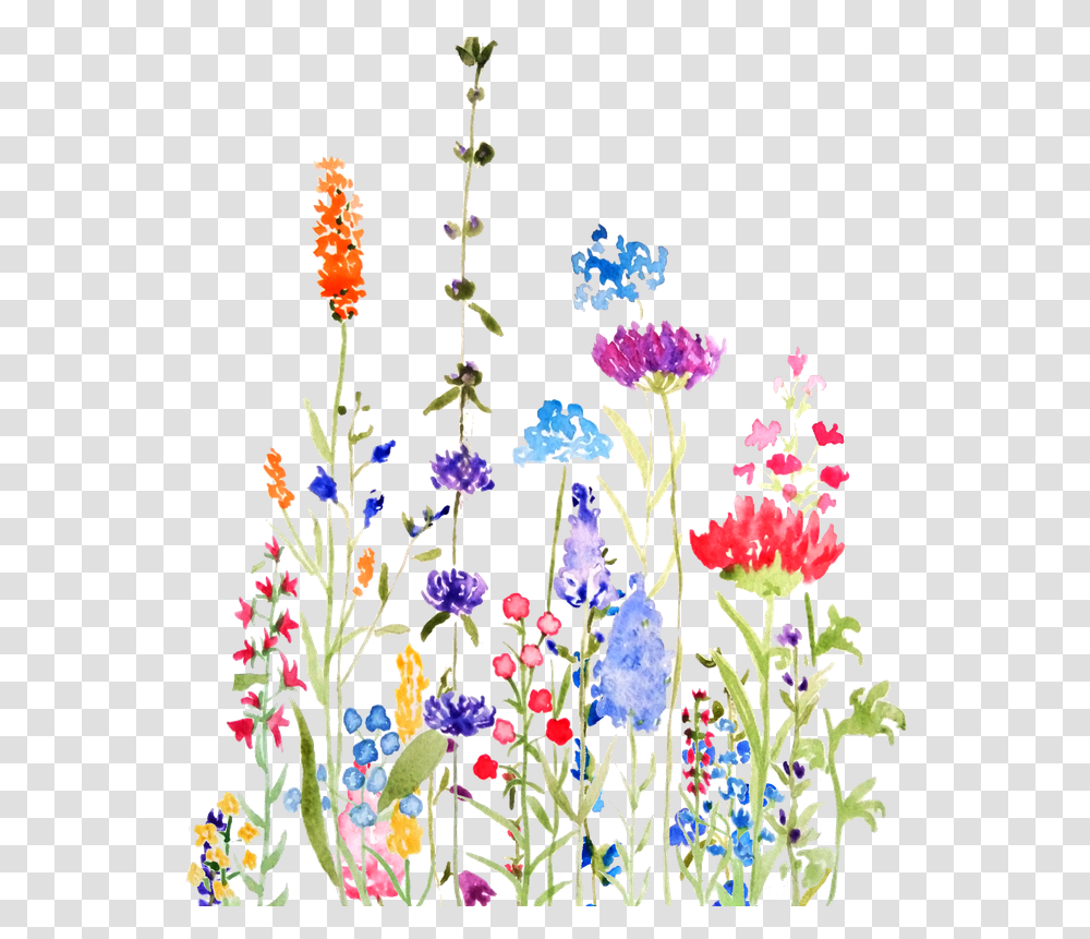 Colorful Wild Flowers Watercolor Floral, Embroidery, Pattern, Stitch, Floral Design Transparent Png