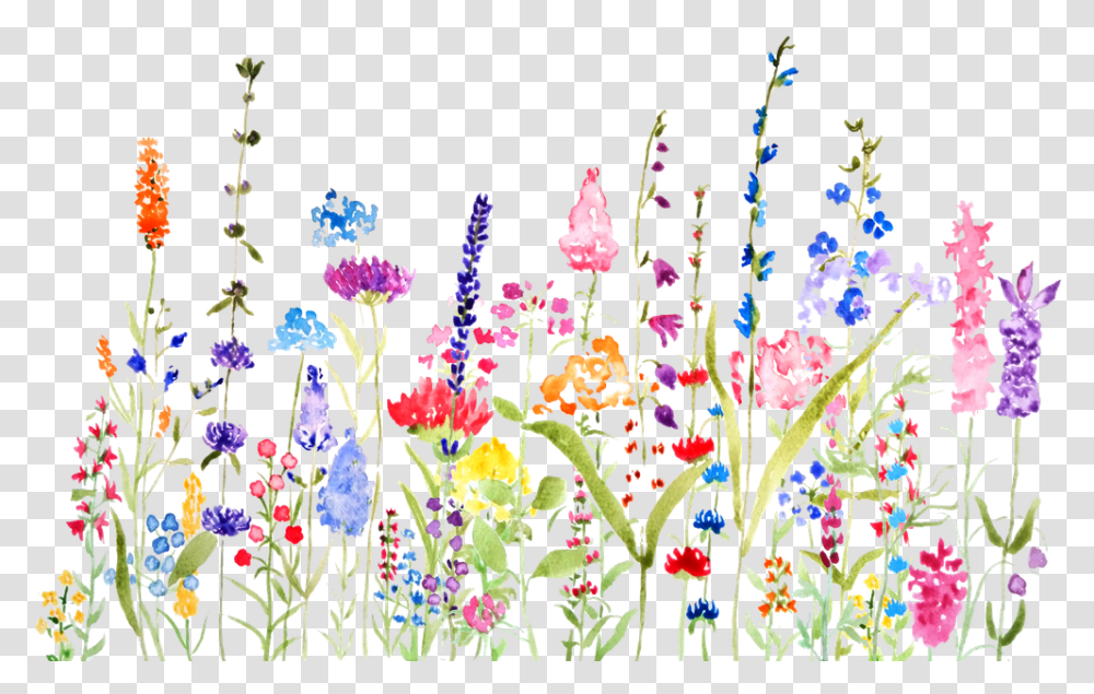 Colorful Wildflower Fields Watercolor Wild Flower Drawing Color, Floral Design, Pattern, Graphics, Art Transparent Png