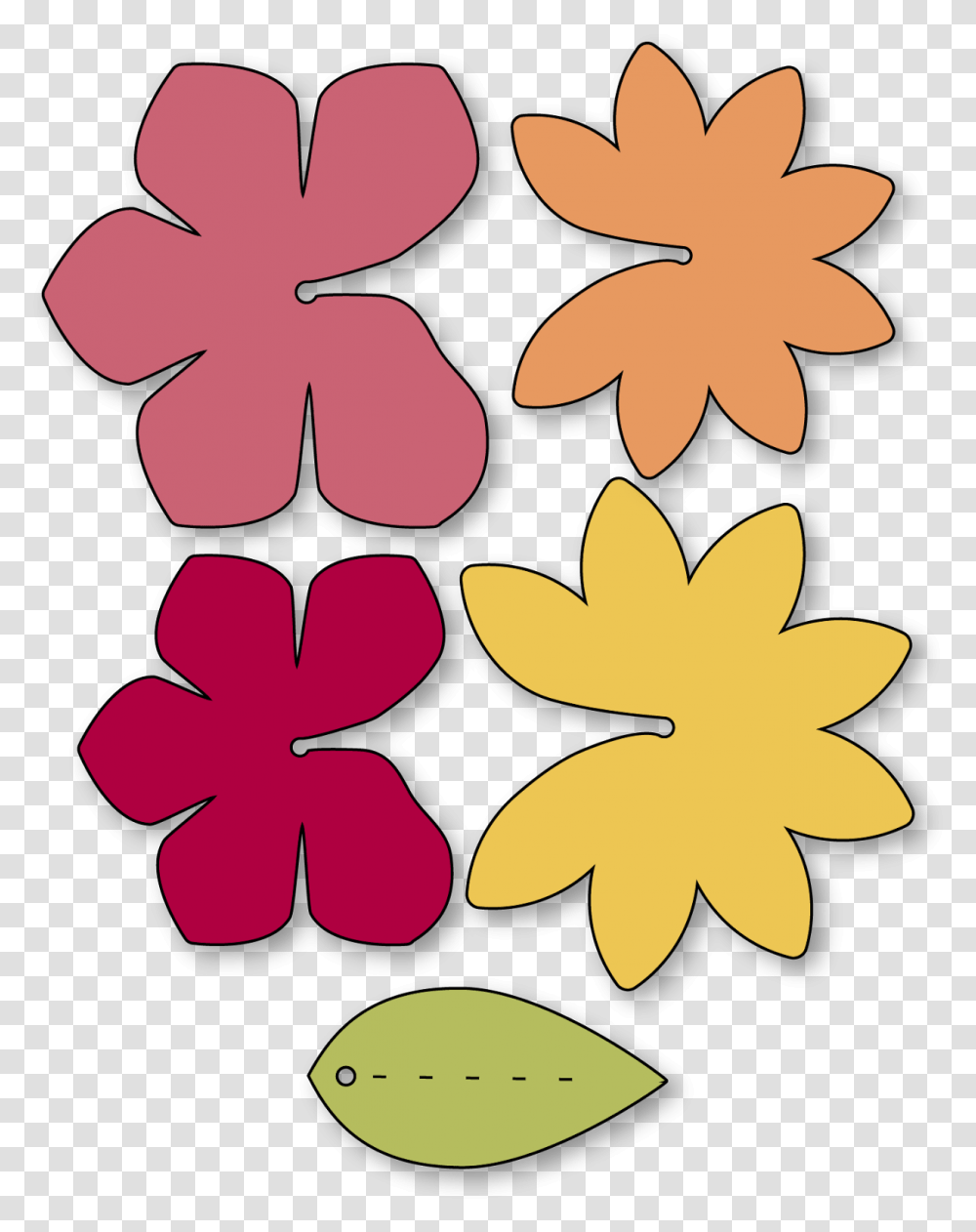 Colorfulness, Plant, Pattern, Petal, Flower Transparent Png