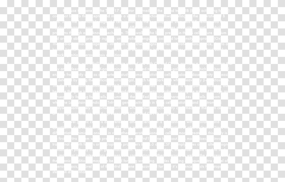 Colorfulness, White, Texture, White Board Transparent Png