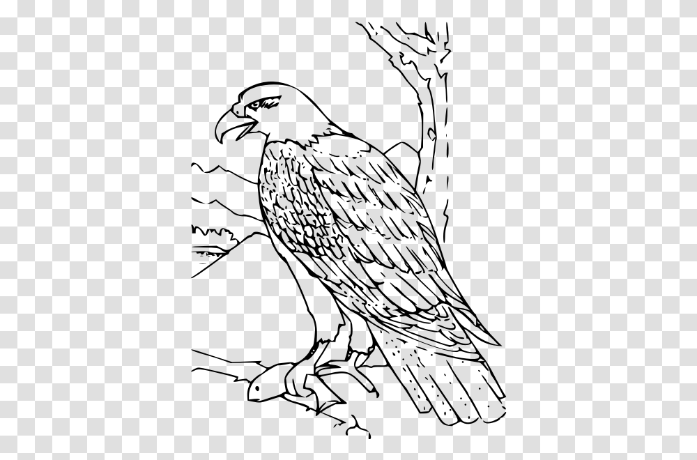 Coloring Book Bald Eagle Bald Eagle Coloring Pages, Gray, World Of Warcraft Transparent Png