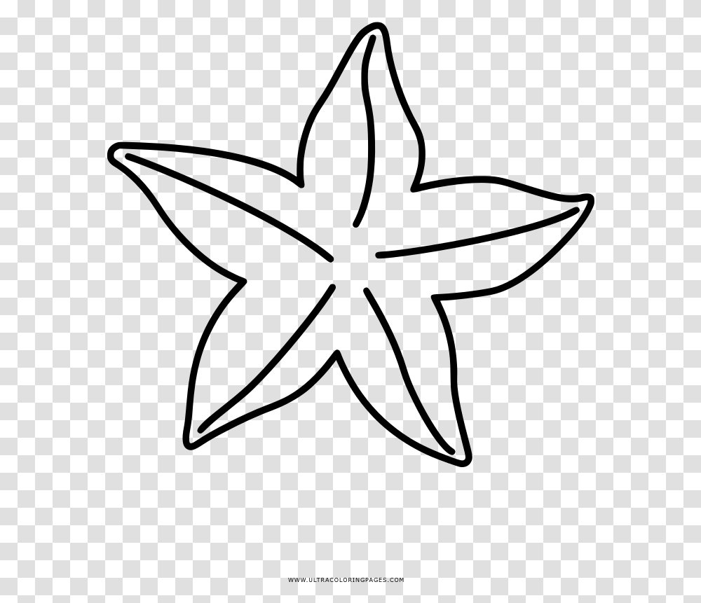 Coloring Book Drawing Starfish, Gray, World Of Warcraft Transparent Png