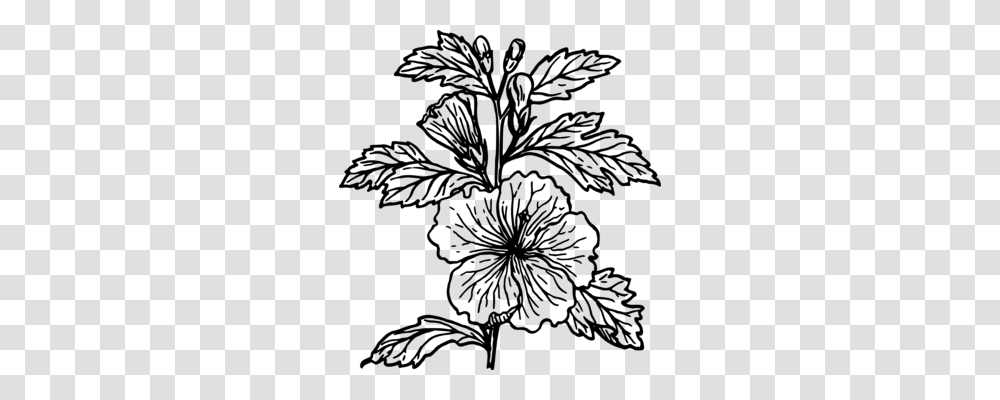 Coloring Book Pasqueflower Plants, Gray, World Of Warcraft Transparent Png