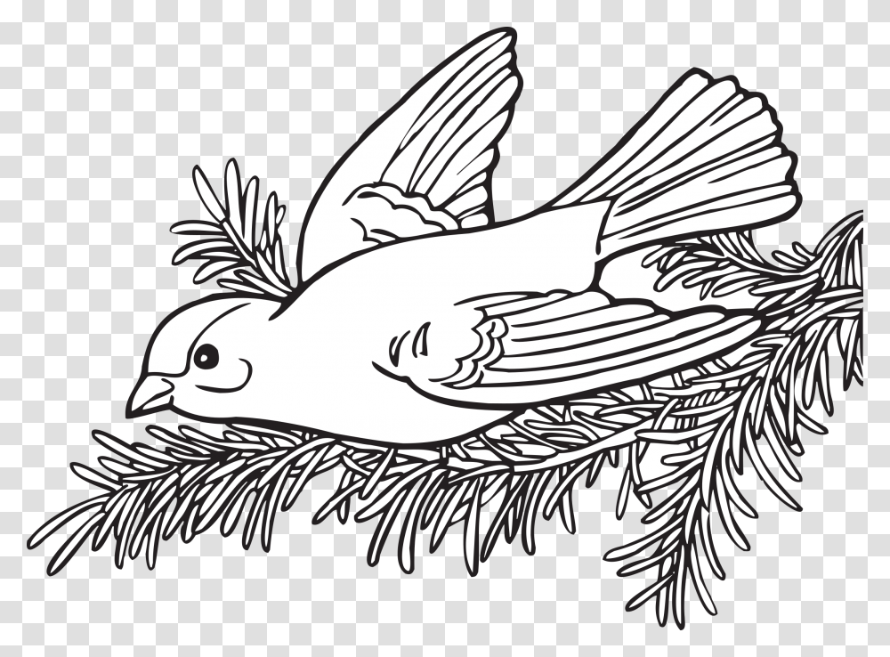 Coloring Book Willow Goldfinch Clip Arts Coloring Book, Bird, Animal, Drawing, Doodle Transparent Png
