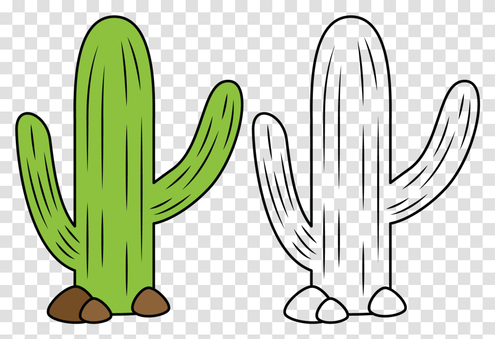 Coloring Cactus For Kids Lovely, Plant Transparent Png