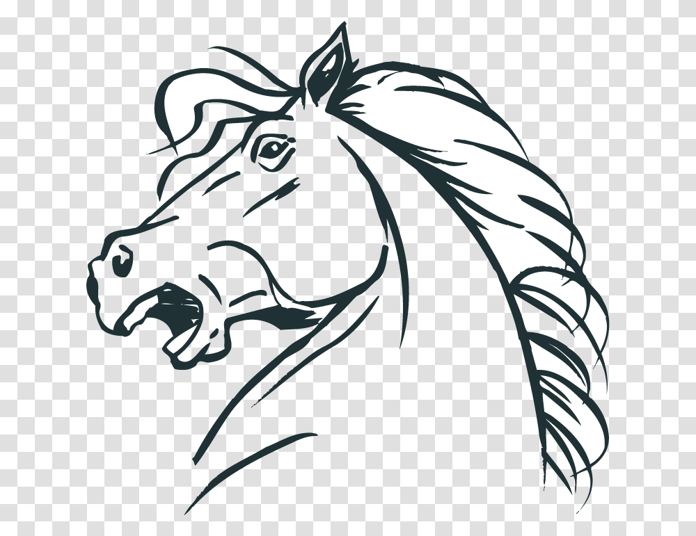 Coloring In Horse Head, Drawing, Sketch, Mammal Transparent Png
