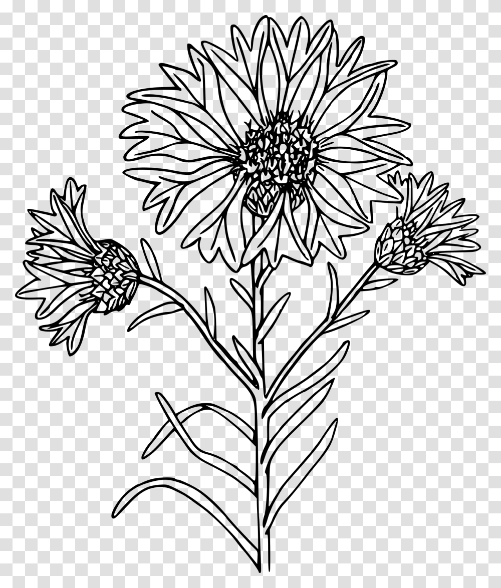 Coloring Page, Gray, World Of Warcraft Transparent Png