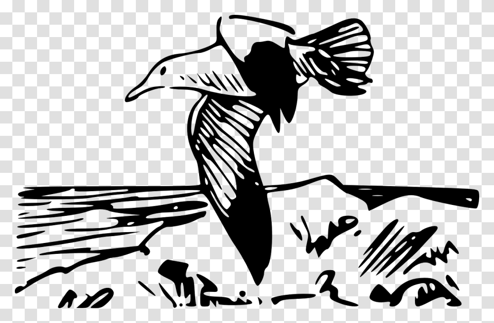 Coloring Pages Of Birds, Gray, World Of Warcraft Transparent Png