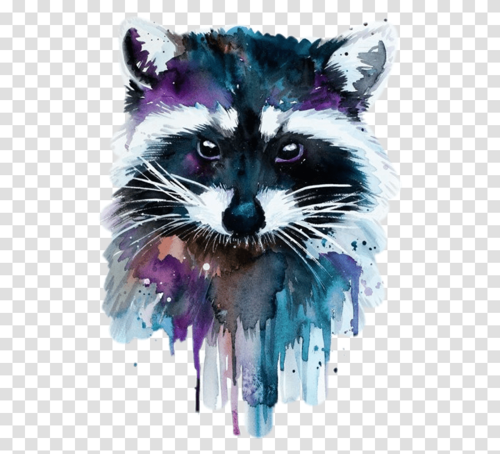 Coloring Raccoon Raccoon Art Cartoon Jingfm Watercolor Raccoon, Mammal, Animal, Wolf, Bird Transparent Png