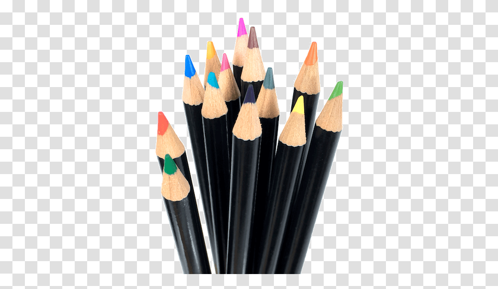 Colorit Premium Colored Pencils Colorit Colored Pencils, Wasp, Bee, Insect, Invertebrate Transparent Png