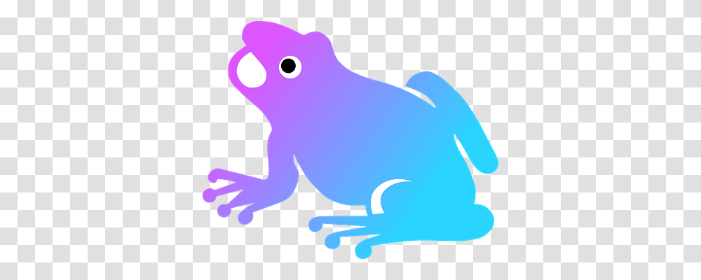 Colorize Nature, Animal, Bird, Amphibian Transparent Png