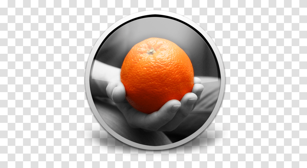 Colorize For Mac Free Download Review Latest Version Valencia Orange, Citrus Fruit, Plant, Food, Bowl Transparent Png