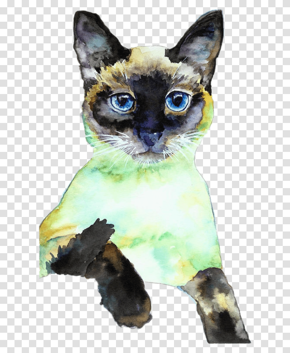 Colormehappy Kitty Mykitty Miles Siamesecats Siamese Siamese Cat Posing, Animal, Pet, Mammal, Bird Transparent Png