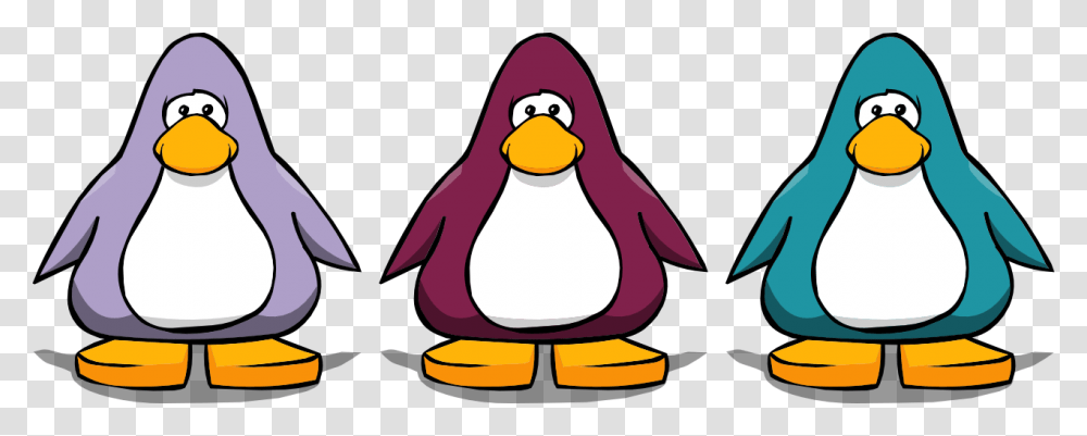 Colors Clipart Penguin, Bird, Animal, King Penguin Transparent Png