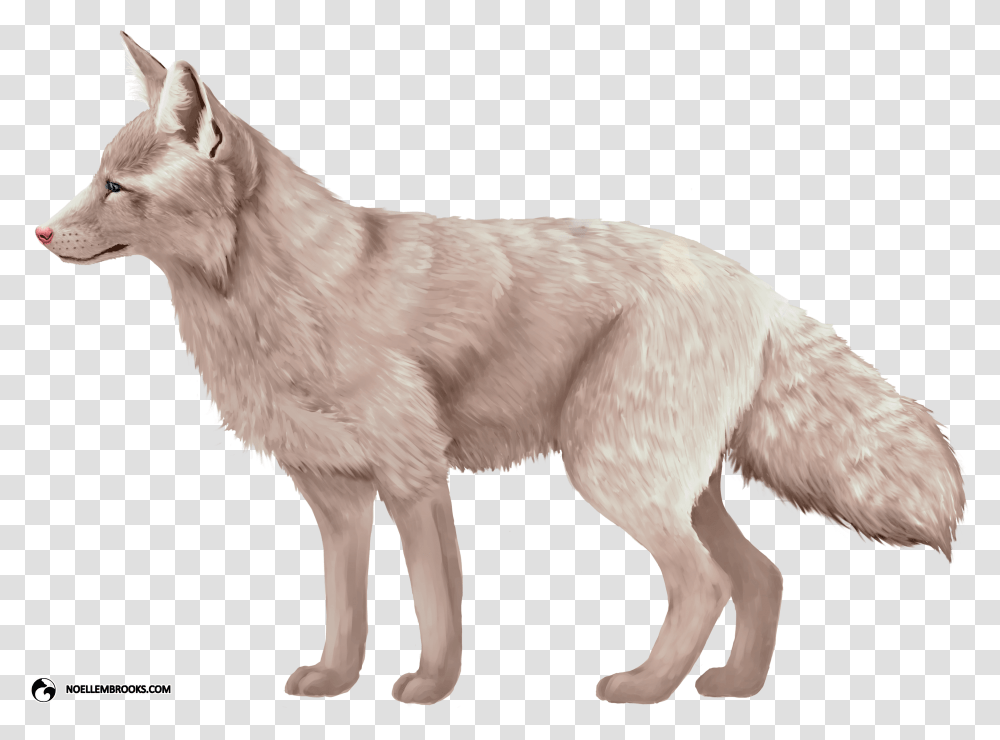 Colors Of A Fox, Wolf, Mammal, Animal, White Dog Transparent Png