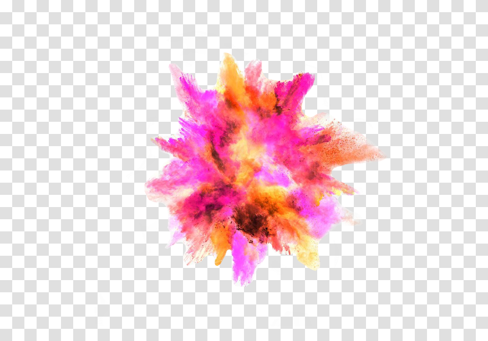 Colorsplash Sticker Powder Colour Splash, Bonfire, Flame, Ornament, Graphics Transparent Png