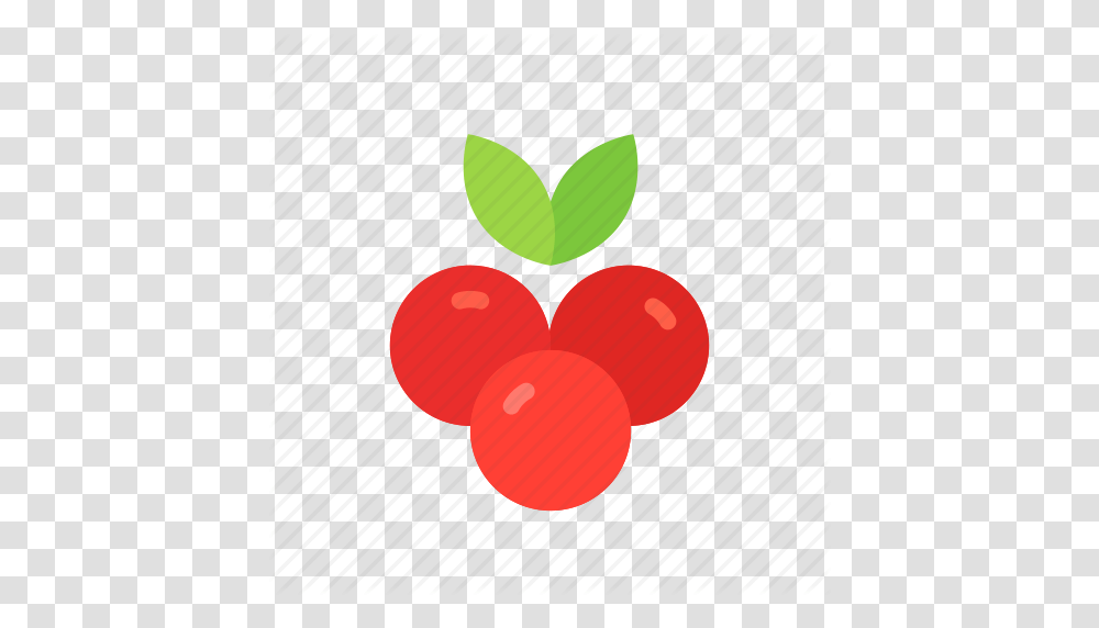 Colour Cranberries Cranberry Currant Food Fruit Red Icon, Plant, Cherry Transparent Png