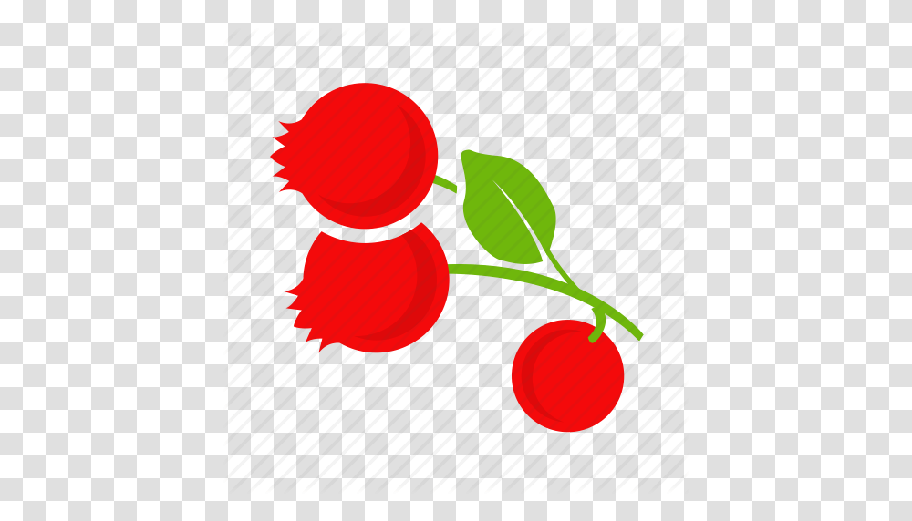 Colour Cranberries Cranberry Currant Icon, Plant, Fruit, Food, Cherry Transparent Png
