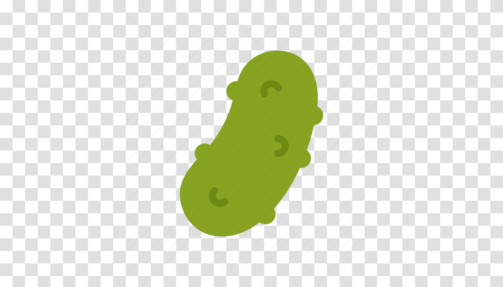 Colour Cucumber Food Green Pickle Pickled Vegetable Icon, Plant, Relish, Bread Transparent Png