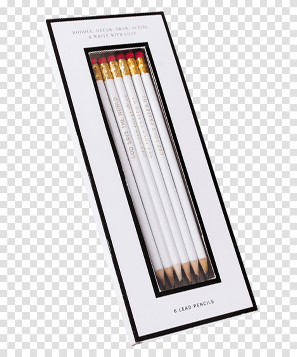 Colour Sisterhood Pencils Fluorescent Lamp Transparent Png