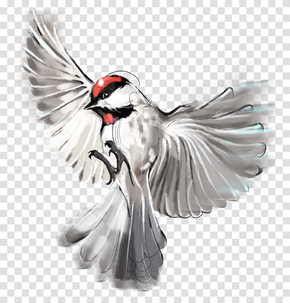 Colourful Bird Rock Dove, Animal, Art, Finch, Woodpecker Transparent Png