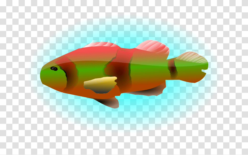 Colourful Fish, Animals, Perch, Toy Transparent Png