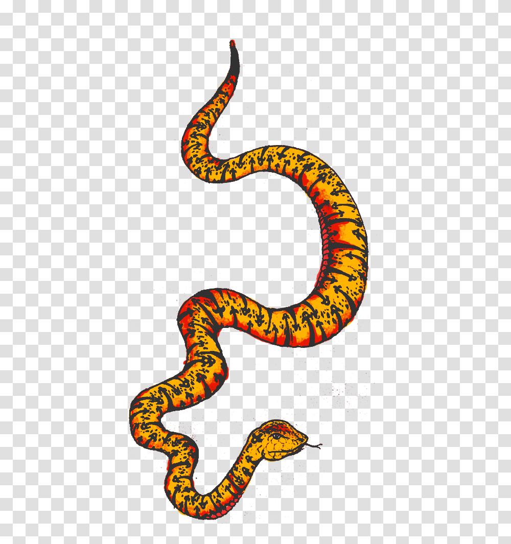 Colourful Snake Clipart Download Python, Animal, Reptile, Sea Snake Transparent Png