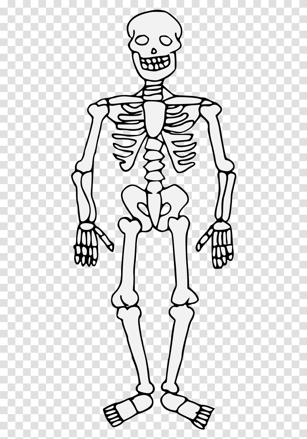 Colouring Pages Of Skeleton, Person, Human Transparent Png