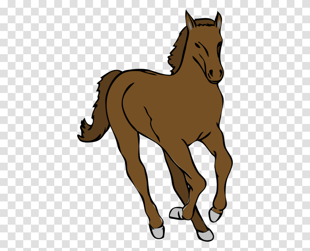 Colt Mustang Mare Foal Pony, Animal, Mammal, Horse, Colt Horse Transparent Png