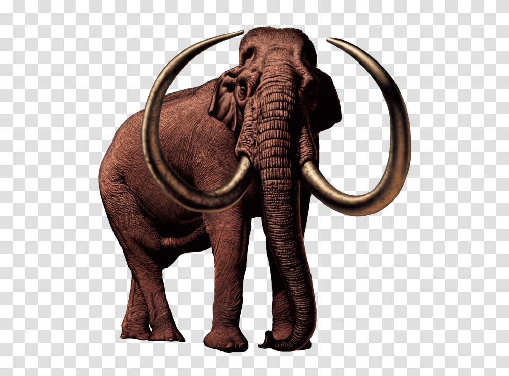Columbian Mammoth, Elephant, Wildlife, Mammal, Animal Transparent Png