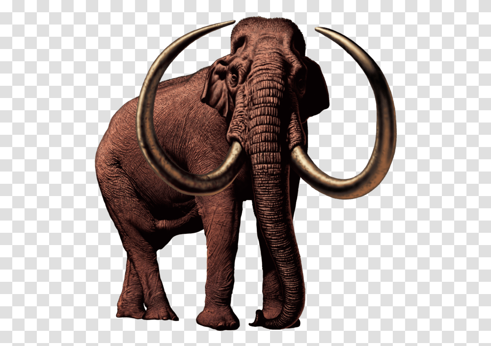 Columbian Mammoth Mammoth, Elephant, Wildlife, Mammal, Animal Transparent Png
