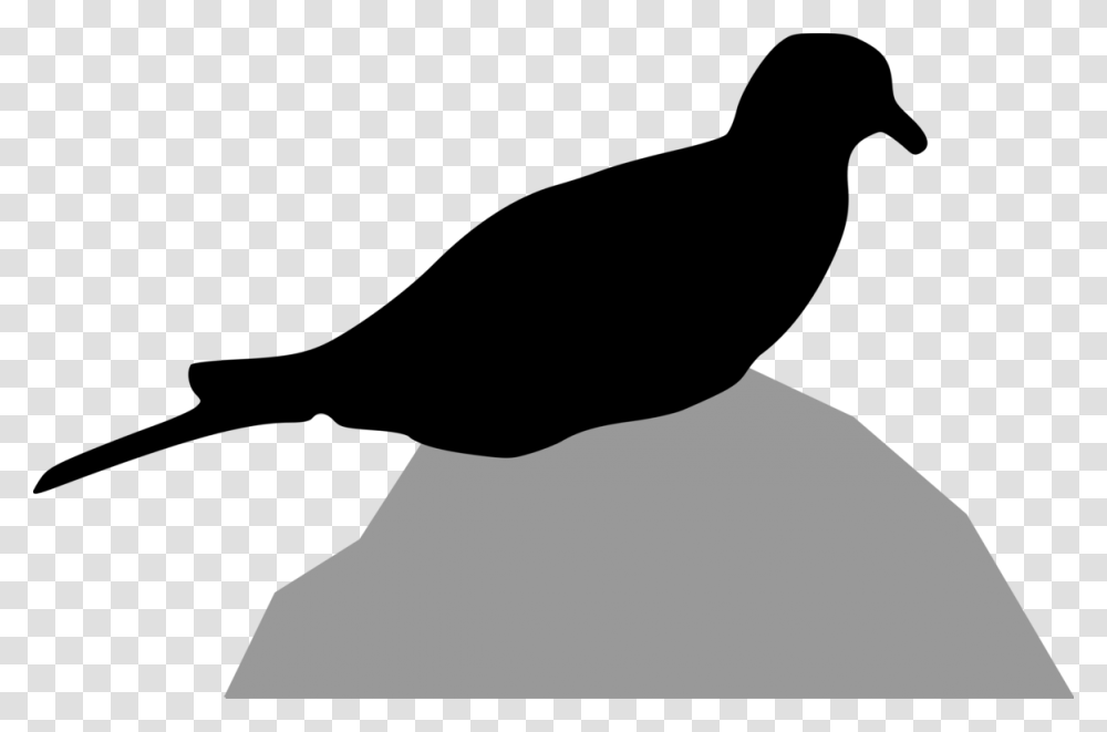 Columbidae Bird Mourning Dove European Turtle Dove Silhouette Free, Sleeve, Face, Photography Transparent Png