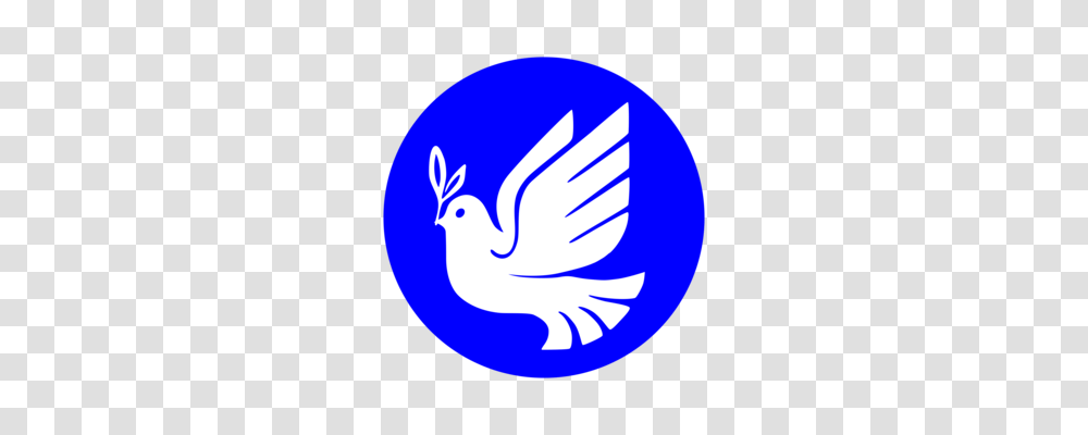 Columbidae Doves As Symbols Olive Branch Computer Icons Drawing, Animal, Bird, Logo, Trademark Transparent Png