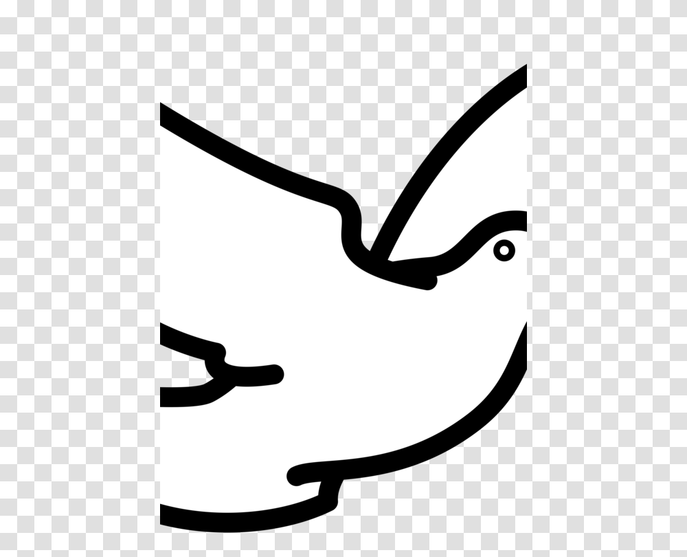 Columbidae Download Bird Drawing Doves As Symbols, Hand, Apparel, Stencil Transparent Png