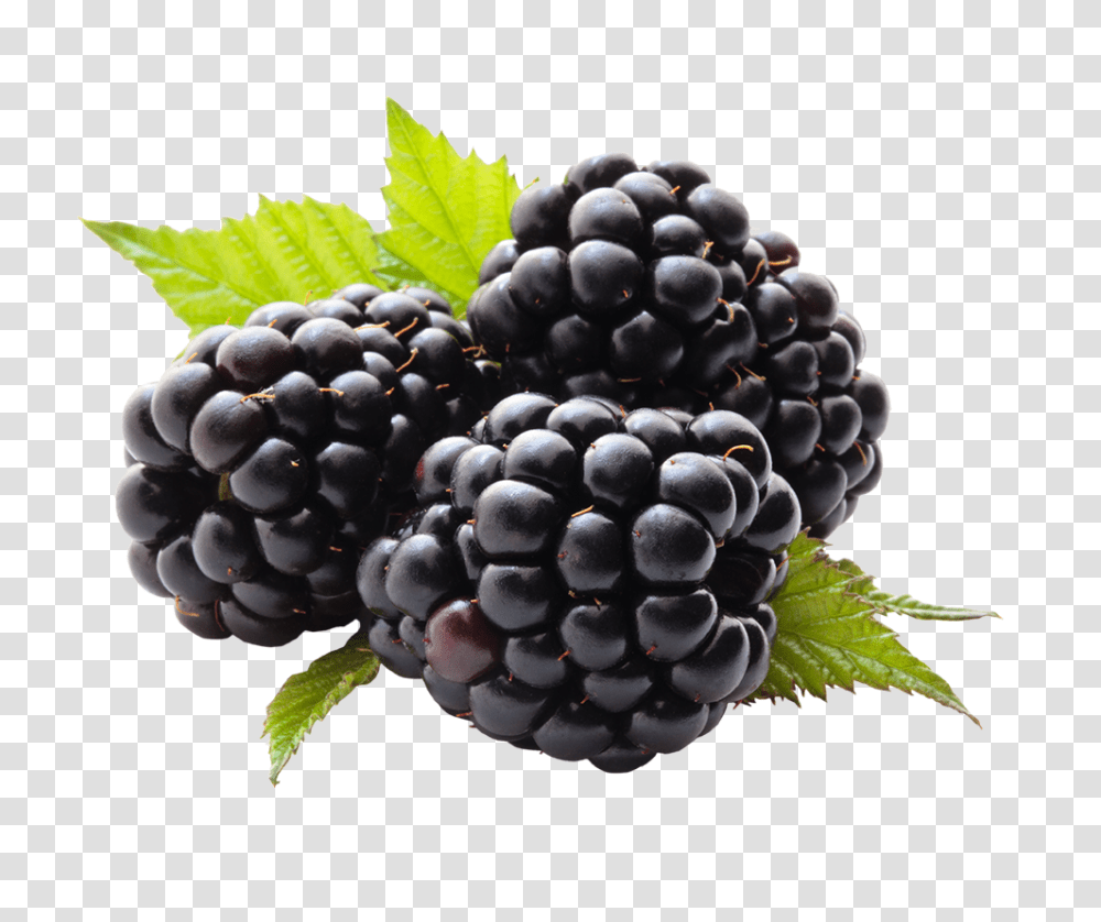 Com Berries By Xburntdoll Blackberry, Grapes, Fruit, Plant, Food Transparent Png