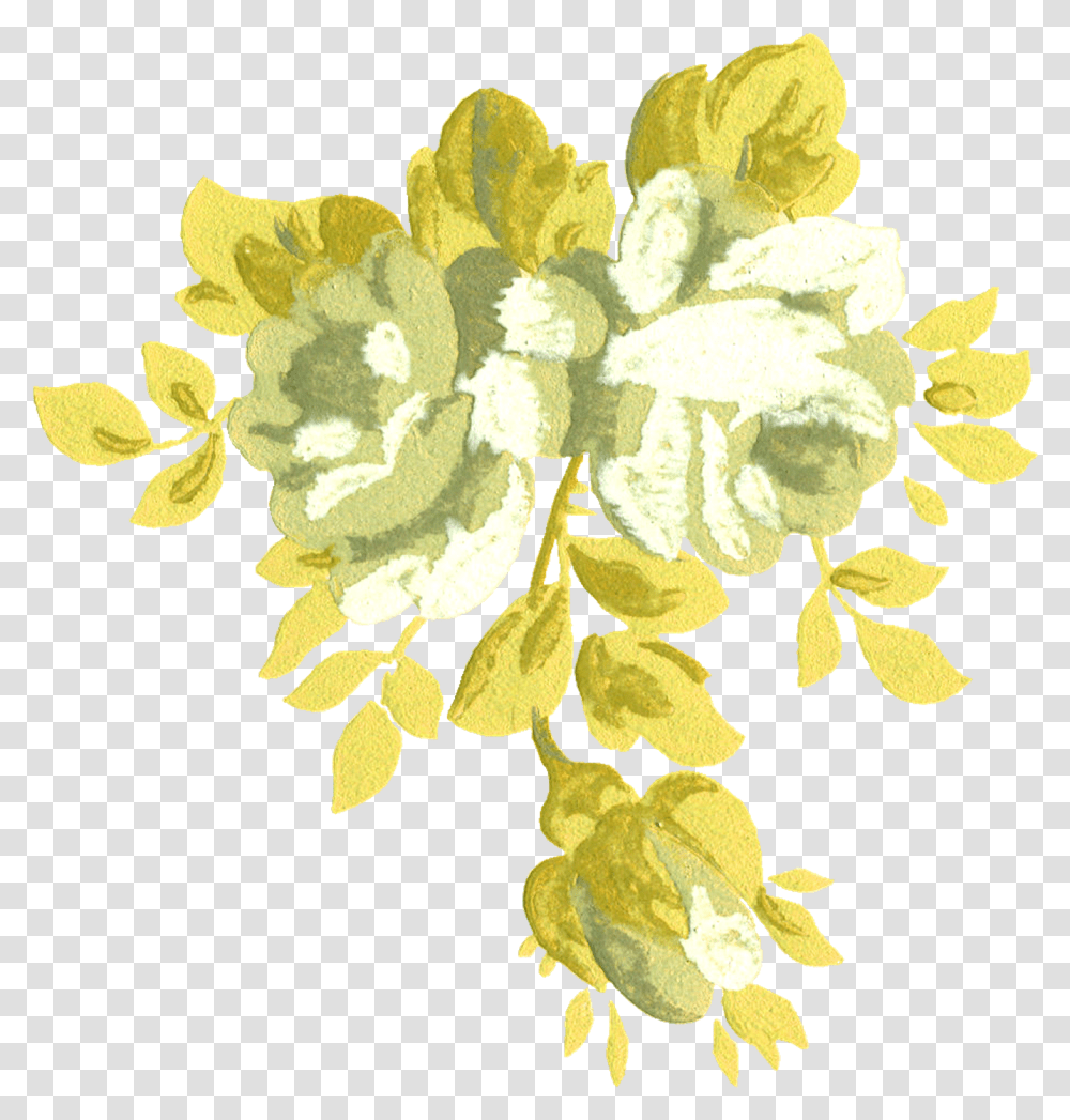 Com Selected Oh45 White Roses Floral Design, Pattern, Plant Transparent Png