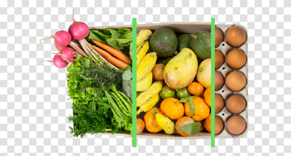 Combos Planos Co G 03 Cesta De Folhas Organicas, Plant, Food, Fruit, Avocado Transparent Png